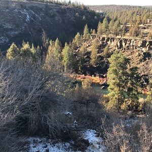 Meet your Posher, Haris